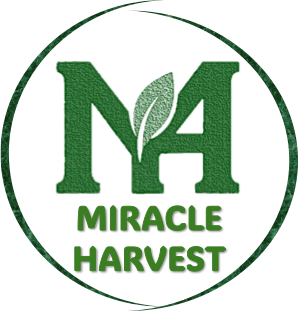 Miracle Harvest